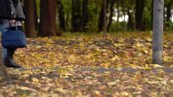 Legs of a Young Couple Walking Along the Alley of an Autumn Park alt