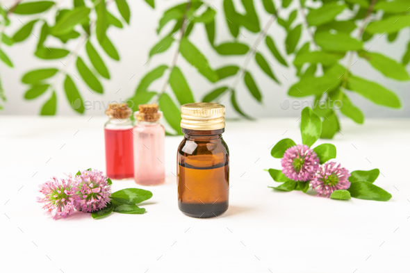 Herbal oil in a brown glass bottle with clover flowers, plant-based body serum