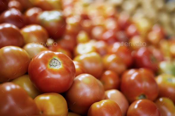 Sale of fresh raw tomatos