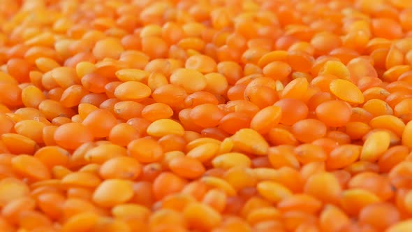 Red lentils background close up