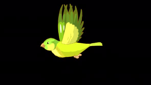 Green canary flies alpha matte 4K
