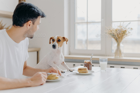 Horizontal shot of man and dog eat together, pose at kitchen table against big window