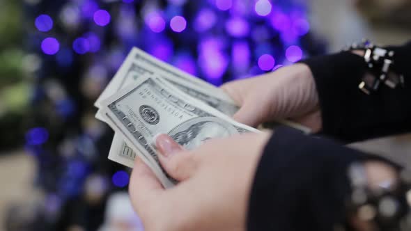Women's Hands Counting Dollars on the Background of the Christmas Tree