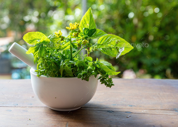 Fresh herb in a mortar herbal medicine alternative heal. Mint rosemary and basil aromatic leaf