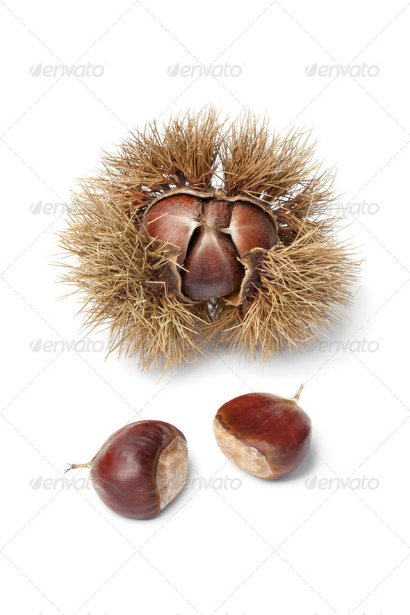 Sweet chestnuts - Stock Photo - Images