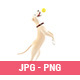 3D Cartoon Dog Jumping to Catch a Ball