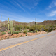 Empty paved road in Saguaro NP near Tucson AZ US - PhotoDune Item for Sale