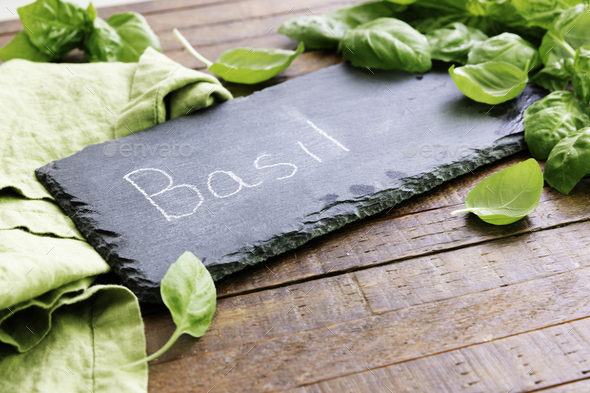 Fresh Basil Leaves - Stock Photo - Images
