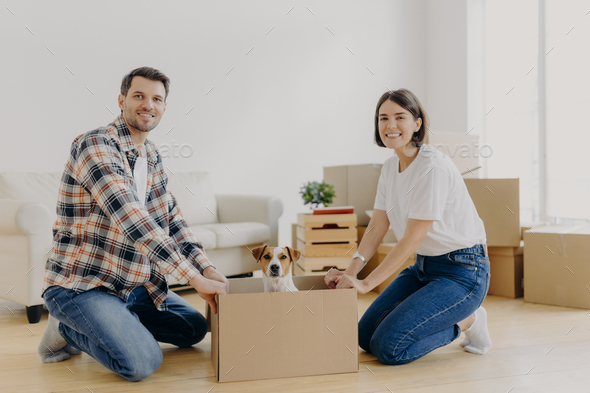 Positive happy husband and wife stand on knees near carton box with ...