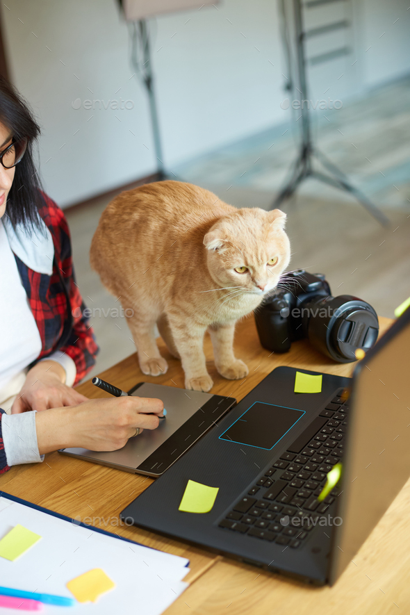 Creative female photographer with cute cat, using graphic drawing tablet and stylus pen