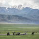 Men play a game of Kok Boru, or dead goat polo, in the mountains of Kyrgyzstan. - PhotoDune Item for Sale