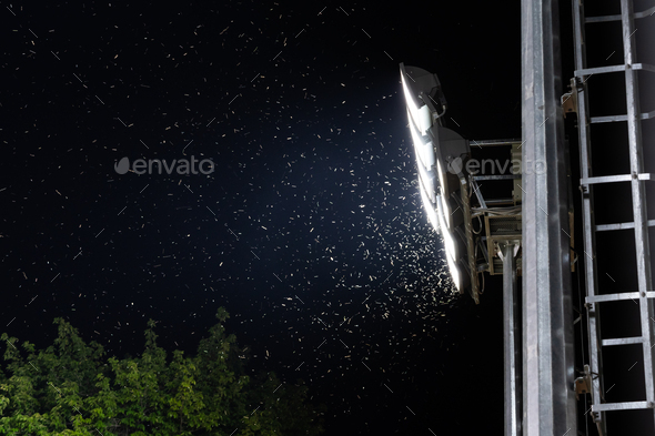 Swarm of insects and mosquitoes around the lamp of an electric spotlight at night outdoors