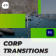 Corporate Transitions Premiere Pro 4.0 - VideoHive Item for Sale