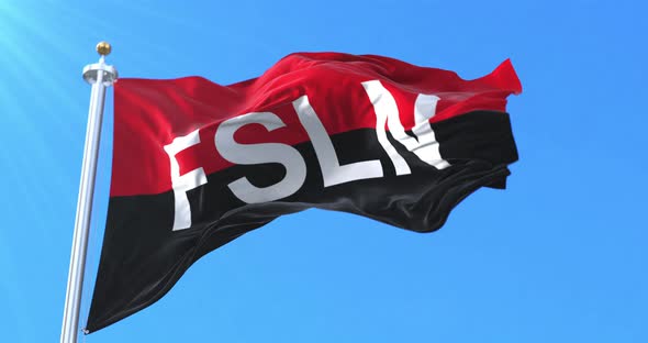 Flag of the Sandinista National Liberation Front, Nicaragua alt
