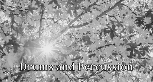 Drums and Percussion