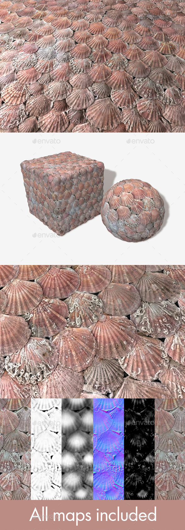 [DOWNLOAD]Shell Wall Seamless Texture