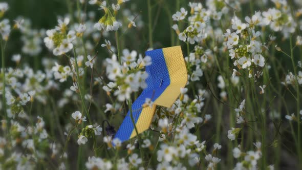 Closeup Shot of a Ukrainian Emblem Attached to a Flower