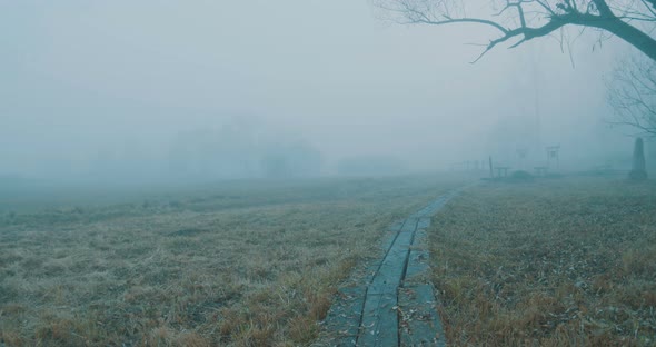 Fog On Morning Wood Path alt