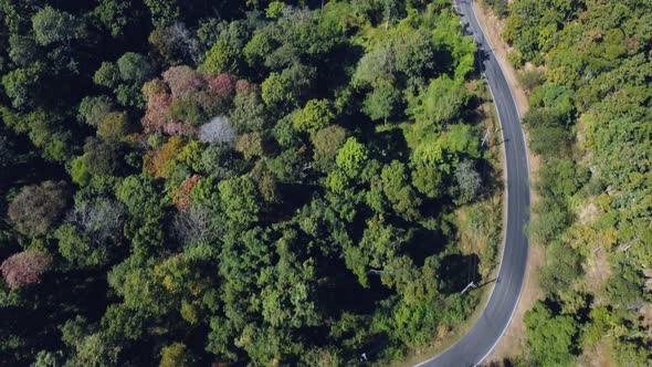 Establishing aerial top view shot of country side road passing through the green forest