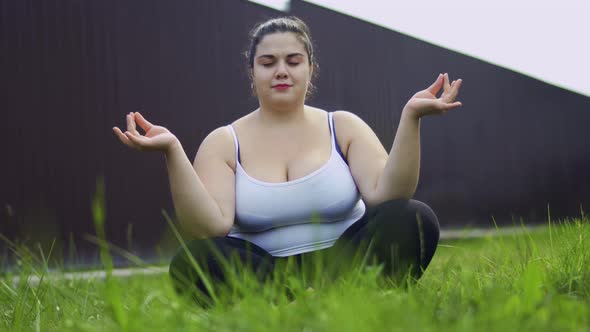 The Fat Girl Sits on the Grass and Meditates alt