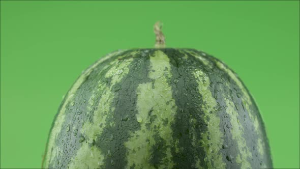 Fresh Watermelon On Green Background