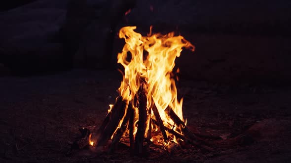 burning bonfire on a summer evening next to forest alt