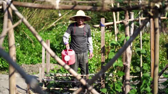 Ethnic farmer watering plants on plantation in hot summer day alt