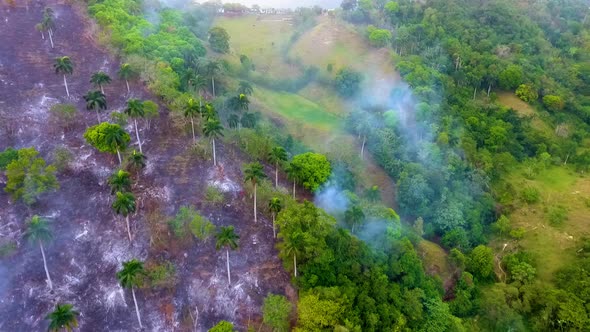 Aerial view around deforestation caused by raging forest fires, in the tropical Jungles of Central A alt