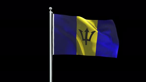 Barbados Flag Big