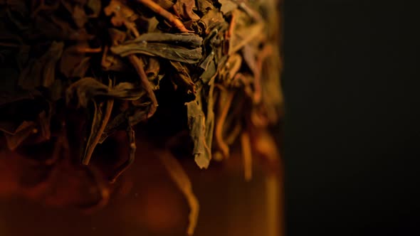 Black Longterm Tea Brewed in Frenchpress Glass Column  Closeup