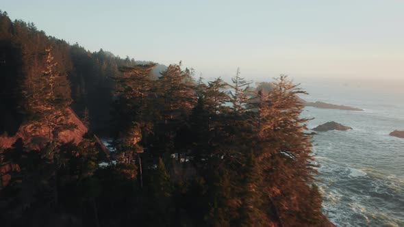 Drone Flying Fast Above Pine Tree Tops in Rocky Mountain Forest at Golden Sunset alt