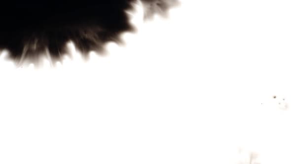 Ink blots covering white paper alt