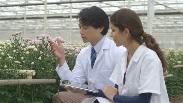 MS Scientists examining plant and using digital tablet in greenhouse