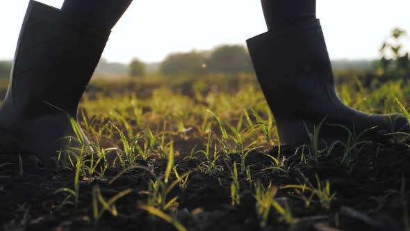 Agricultural Business alt