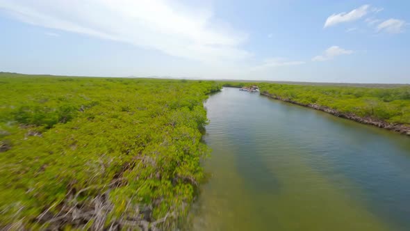 FPV Of Mangrove Forest In Monte Cristi, Dominican Republic alt
