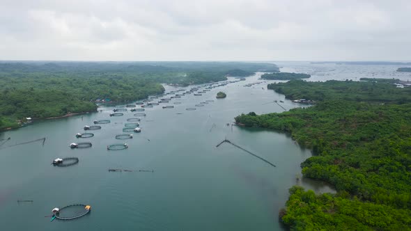 Fish Farm with Cages for Fish and Shrimp in the Philippines Luzon alt