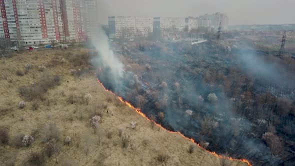 Forest and Field Fire alt