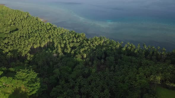 Aerial Video Over Tropical Island