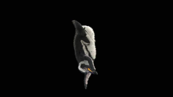 Penguin Dancing HD alt