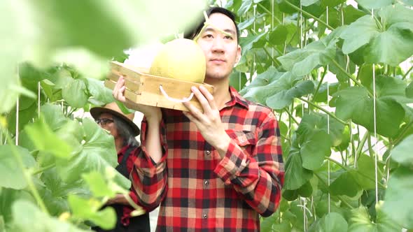 Young Asian Male Farmer Carrying a Basket of Watermelon Products and Walking on Farm Field alt
