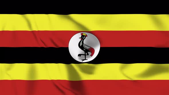 4K Uganda Flag - Loopable