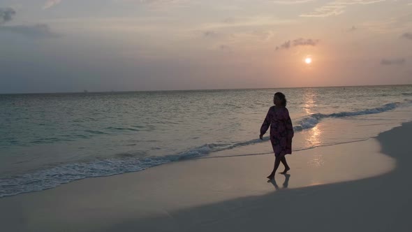 Palm Beach Aruba Amazing Tropical Beach with Palm Tree Entering the Ocean Against Azur Ocean Gold alt