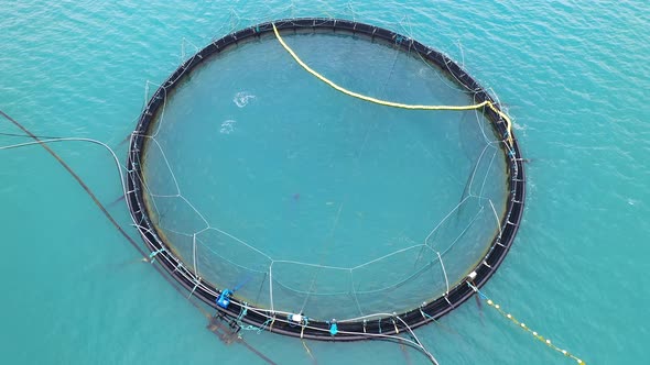 Farm Salmon Fishing in Norway alt