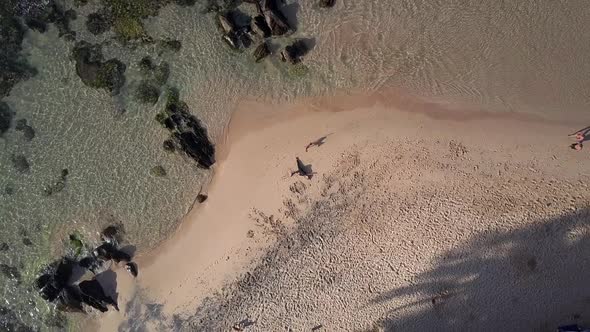 Young Woman Exercises on Sandy Beach at Ocean Waves alt