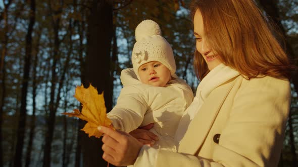 Mom shows the baby a yellowed leaf