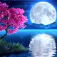 Moon Over Lake - VideoHive Item for Sale