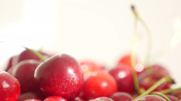 Prunus cerasus fruit on white background slow tilting 4K 2160p 30fps UltraHD footage - Wild sour che alt