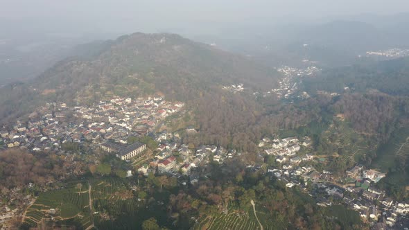 Tea plantation in mountain alt