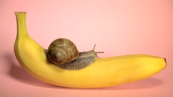 Yellow Banana on Pink Background