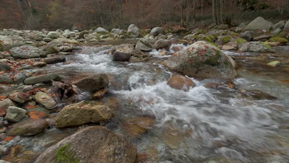 River Forest Mountain alt